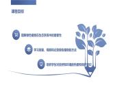 安徽大学版小学四年级下册综合实践活动第1课认识绿色世界（课件）