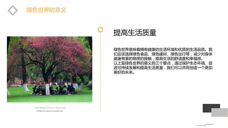 安徽大学版小学四年级下册综合实践活动第1课认识绿色世界【课件】第7页