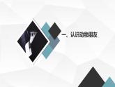 安徽大学版小学三年级下册综合实践活动1动物朋友（课件）