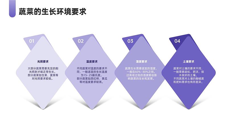 最新长春版小学三年级上册综合实践活动 第三课 我和蔬菜交朋友（课件）07