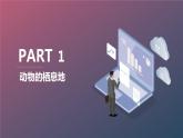 最新长春版小学三年级下册综合实践活动 第2课 动物的家（课件）