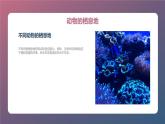 最新长春版小学三年级下册综合实践活动 第2课 动物的家（课件）