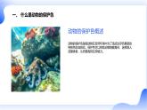 最新长春版小学三年级下册综合实践活动 第3课 动物的保护色（课件）