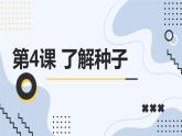 最新长春版小学四年级上册综合实践活动 第4课 了解种子（课件）