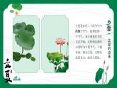 二十四节气之立夏PPT模板