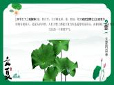 二十四节气之立夏PPT模板