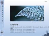 灰蓝中国风二十四节气小寒主题工作总结汇报课件PPT