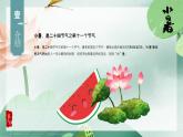 简约大气二十四节气之小暑PPT模板