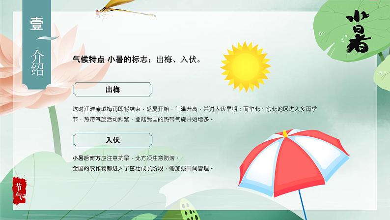 简约大气二十四节气之小暑PPT模板第7页