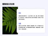 三年级上册综合实践活动安徽大学版《1.1 探寻植物王国》课件