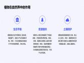 三年级上册综合实践活动安徽大学版《1.1 探寻植物王国》课件
