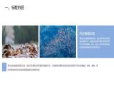 大气二十四节气霜降主题班会教育课件