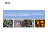大气二十四节气霜降主题班会教育课件