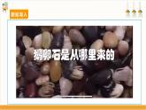 【沪科·黔科版】三下综合实践  漫游石头王国 活动二《健康护航员--卵石路》课件+教案+素材