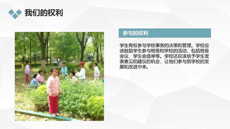 安徽大学版小学五年级下册综合实践活动第4课我们的权利【课件】07