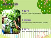 岭南佳果（课件）-2023-2024 学年三年级下册综合实践活动粤教版