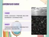 可怕的“白色污染”（课件）-2023-2024 学年四年级下册综合实践活动粤教版