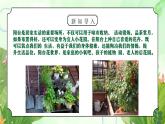 粤教版五年级上册综合实践第一单元《阳台花世界》PPT课件第二课时