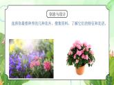 粤教版五年级上册综合实践第一单元《阳台花世界》PPT课件第二课时