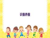 识蚕养蚕（课件）-2023-2024 学年三年级下册综合实践活动皖教版