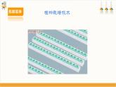【内蒙古版】五下综合实践  第四单元 主题活动一《我的植物栽培之旅》课件+教案+素材