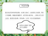四年級下冊-綜合實踐第四單元 動物是人類的朋友 課件