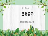 四年級下冊-綜合實踐第一單元 感受春天 課件