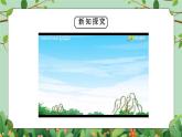 四年級下冊-綜合實踐第一單元 感受春天 課件