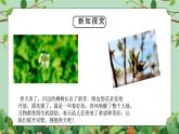 四年級下冊-綜合實踐第一單元 感受春天 課件