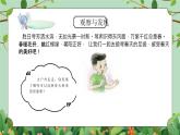 四年級下冊-綜合實踐第一單元 感受春天 課件