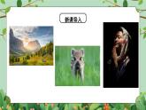 五年級下冊-綜合實踐第八單元 鏡頭下的美麗世界 課件