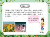 五年級下冊-綜合實踐第八單元 鏡頭下的美麗世界 課件