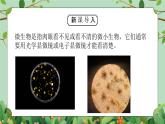 五年級下冊-綜合實踐第二單元 小小銀行家 課件