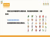 【鲁科版】三下综合实践  1.3《减少垃圾我行动》课件+教案+素材