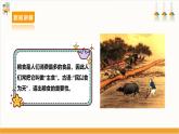 【鲁科版】三下综合实践  2.2《认识粮食作物》课件+教案+素材