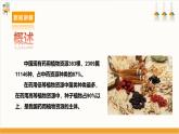 【鲁科版】三下综合实践  2.3《药用植物》课件+教案+素材
