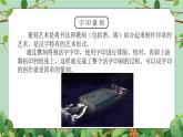 粤教版六年级下册-综合实践第四单元 印刷术 课件