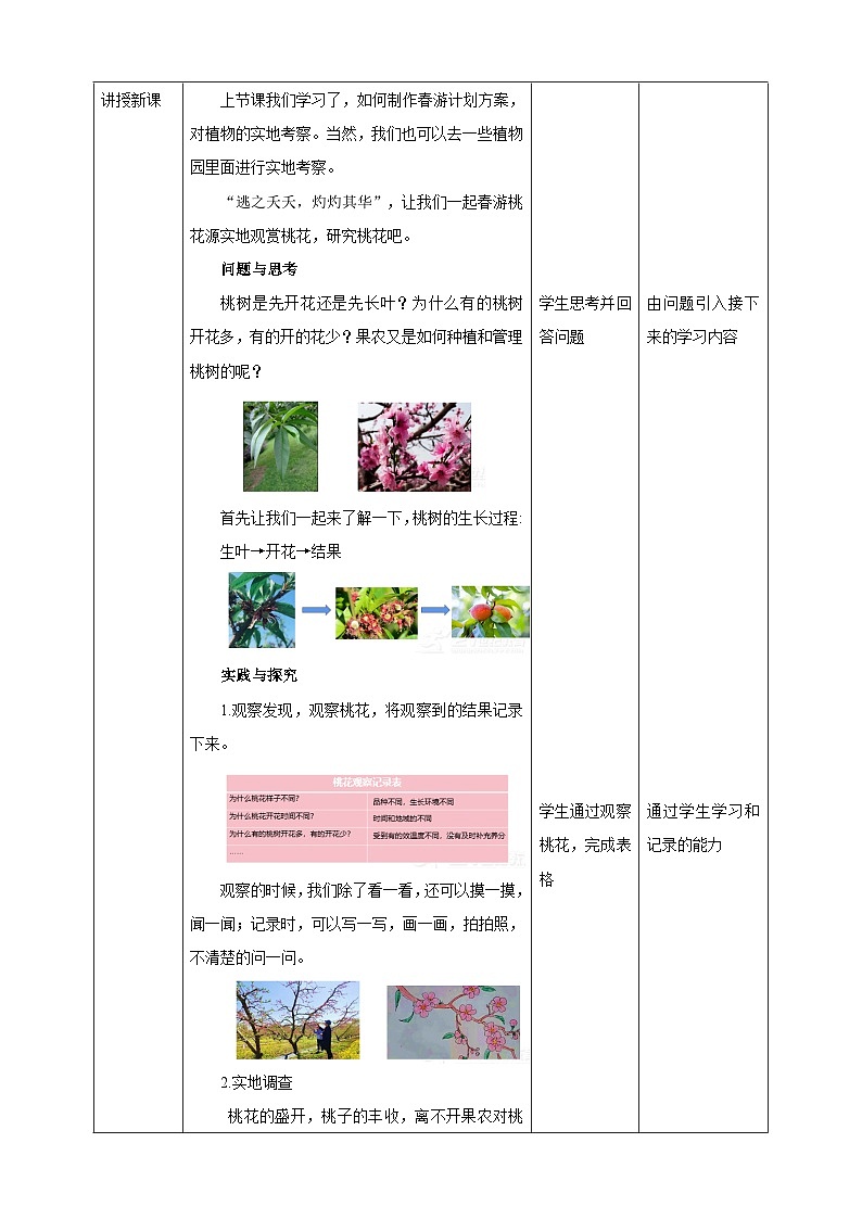 二、《春游桃花园》教案第2页