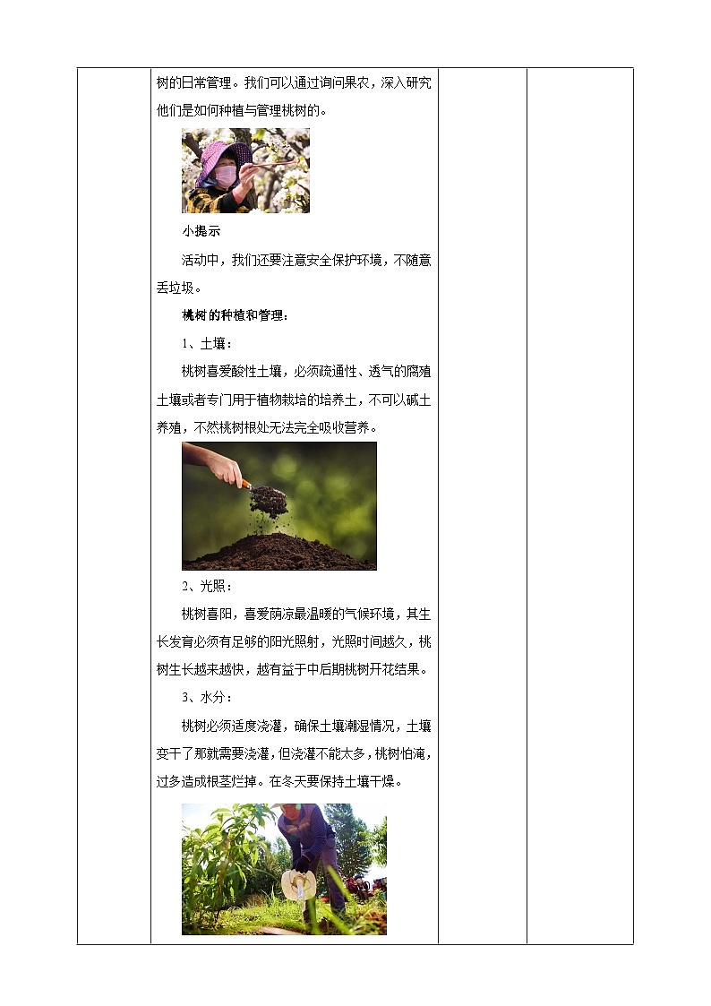 二、《春游桃花园》教案第3页