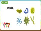 粵教版綜合實踐活動五年級下冊第二單元《微生物的妙用》第一課時 課件+教案