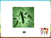 粵教版綜合實踐活動五年級下冊第二單元《微生物的妙用》第一課時 課件+教案