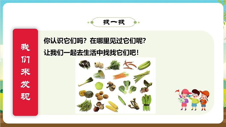 内蒙古版综合实践活动一年级下册第一单元 主题活动一《蔬菜大观园》课件第6页