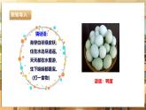 鲁科版《综合实践活动》六下 4.2《食品腌制·淌油红心蛋》课件+教案+素材