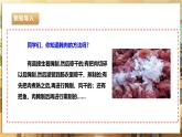 鲁科版《综合实践活动》六下 4.3《食品腌制·美味香肠》课件+教案