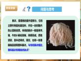 鲁科版《综合实践活动》六下 4.3《食品腌制·美味香肠》课件+教案
