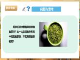 鲁科版《综合实践活动》六下 6.1《茶艺·认识茶叶》课件+教案+素材