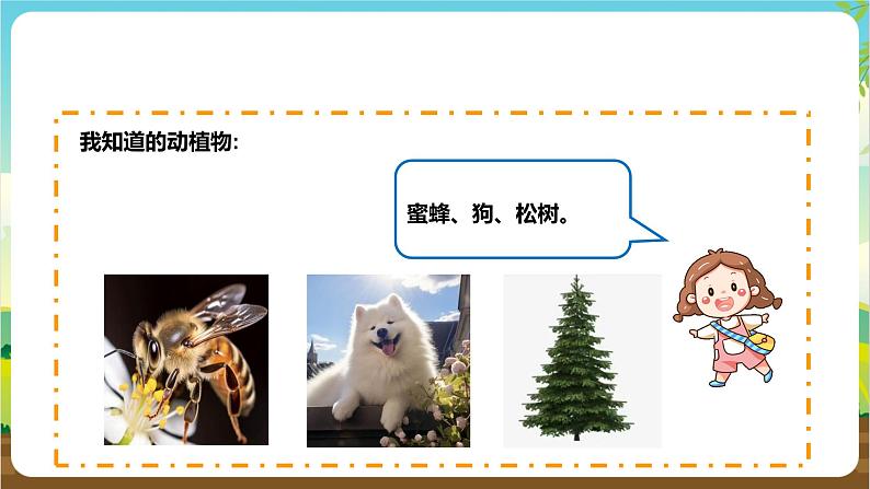 内蒙古版综合实践活动四年级下册 第一单元 主题活动二《关爱身边的动植物》课件第8页