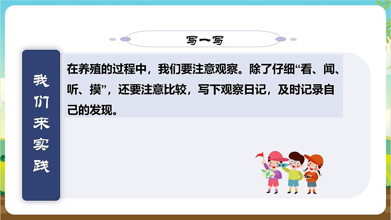 内蒙古版综合实践活动四年级下册 第四单元 主题活动一《我是小小养殖员》课件第8页