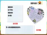 粤教版综合实践活动三年级下册第一单元《我的植物“邻居”》第二课时（课件+教案）