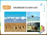 粵教版綜合實(shí)踐活動(dòng)四年級(jí)下冊(cè)《動(dòng)物是人類的朋友》課件